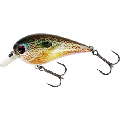 Abbildung von Westin BassBite 2.5 Squarebill Floating Crankbait Real Pumpkinseed 7cm (16g) Wobbler