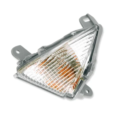 Abbildung von VICMA 9857 Blinker vorne links mit Blinklicht