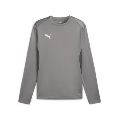 Abbildung von Puma GOAL Training Sweatshirt, Herren, Größe: Large, Grauweissgrau