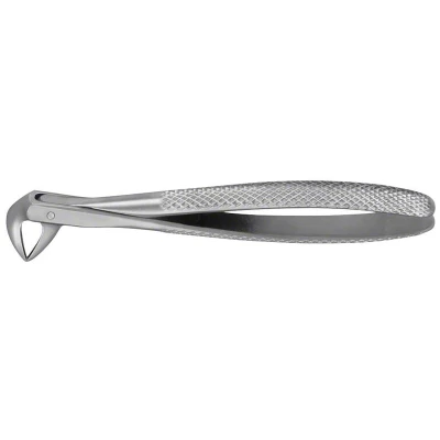Abbildung von ANATOMICA Zahnzange Figur 74 N UK Wurzeln &amp; Schneidezähne