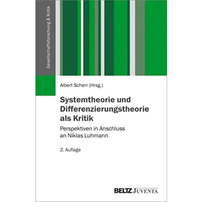 Abbildung von Systemtheorie und Differenzierungstheorie als Kritik: Perspektiven in Anschluss an Niklas Luhmann (Gesellschaftsforschung Kritik)