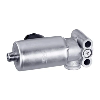 Abbildung von HELLA 6NW 358 189 171 Magnetventil M12x1,5 24V