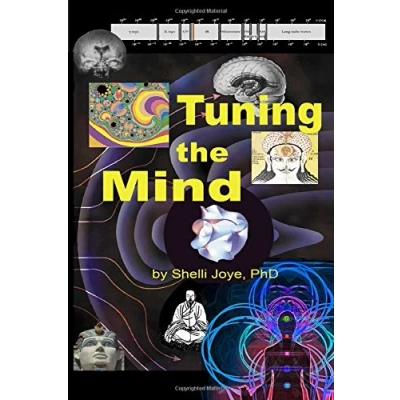 Abbildung von Tuning the Mind: Geometries of Consciousness Holonomic Brain Theory and Implicate Order