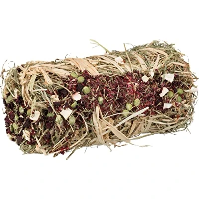 Abbildung von Trixie Heuballen Rote Bete und Pastinake Nagetiersnack P...