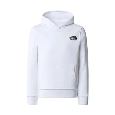 Abbildung von THE NORTH FACE Graphic Kapuzenpullover TNF Black 176