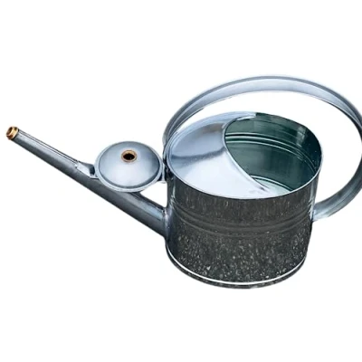 Abbildung von BURI Zinkgießkanne 10 L farbig Blumengießkanne Metallgießkanne Gießkanne Blechkanne, Farbe:verzinkt
