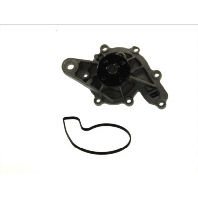 Abbildung von Wasserpumpe THERMOTEC D1M043TT