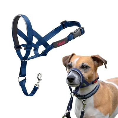 Abbildung von HALTI Kopfgeschirr Verhindert, dass Ihr Hund an der Leine zieht, Einfache Anpassung, Leicht, mit gepolstertem Nasenriemen, Anti Zug Halsband für kleine Hunde (Größe 1, Kobaltblau)