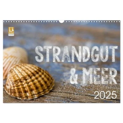 Abbildung von Strandgut und Meer 2025 (Wandkalender DIN A3 quer), CALVENDO Monatskalender