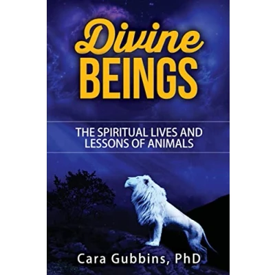 Abbildung von Divine Beings: The Spiritual LIves and Lessons of Animals (Teachings from Animal Totems Spirit Guides, Band 3)