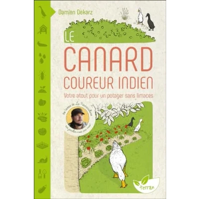 Abbildung von Le Canard coureur indien Votre atout pour un potager sans limaces
