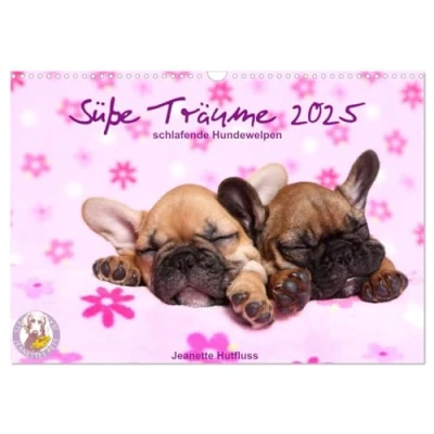 Abbildung von Süße Träume 2025 schlafende Hundewelpen (Wandkalender DIN A3 quer), CALVENDO Monatskalender
