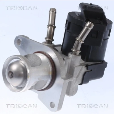 Abbildung von TRISCAN 8813 11001 AGR Ventil elektrisch mit Dichtungen, ohne Kühler BMW: 3 Coupe, Touring, 1 Schrägheck