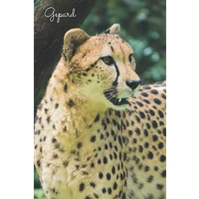 Abbildung von Gepard: Notizbuch / Tagebuch Wildkatze DIN A5 120 Seiten punktiert Punkteraster Geschenkidee Katzenliebhaber
