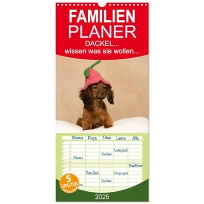 Abbildung von Familienplaner 2025 DACKEL... wissen was sie wollen... mit 5 Spalten (Wandkalender, 21 cm x 45 cm), CALVENDO