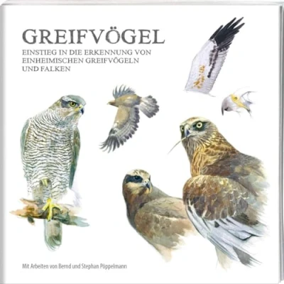 Abbildung von Greifvögel: Einstieg in die Erkennung von einheimischen Greifvögeln und Falken