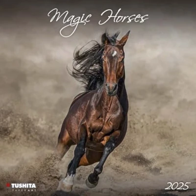 Abbildung von Magic Horses 2025: Kalender 2025 (Wonderful World)
