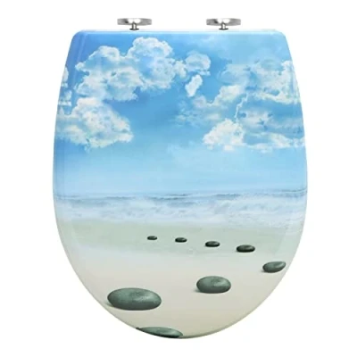 Abbildung von WOLTU Toilettendeckel mit Absenkautomatik Klodeckel WC Sitz Softclose antibakterielle Klobrille Quick Release Funktion Duroplast Oval einfache Montage Blauer Himmel