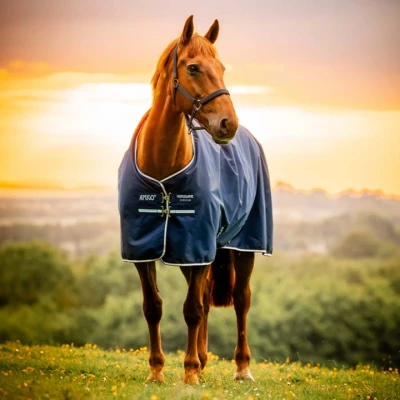 Abbildung von Amigo Ripstop 900D 50g Fleece Lined Witney Navy 140/191 Agradi.deVerkauft von Agradi