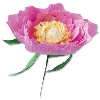Abbildung von Sizzix Thinlits Matrizenset 5PK Wild Peony von Lisa Jones, 664926, Kunststoff, Multicolor, Einheitsgröße