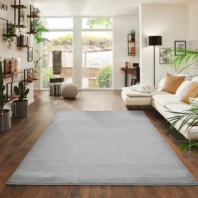 Abbildung von Jimri Flauschiger Teppich Läufer Hochwertige Kurzflor für Zuhause, Büro, Küche, Eingang, Flur, Wohnzimmer Maschinenwaschbar Rutschfester Waschbar 200x280 cm Silber