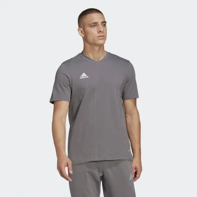 Abbildung von adidas Herren Entrada 22 Tee, Team Grey Four, XL