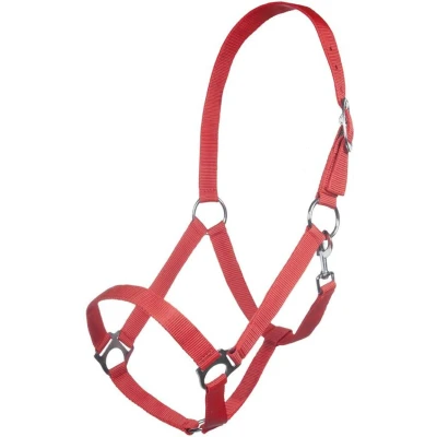 Abbildung von HKM Halfter Brisbane Rot Pony