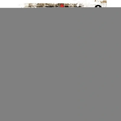 Abbildung von Beginner&#039;s Bass: Basics &amp; Grooves spielend Bass lernen. Bassgitarre. Lehrbuch.: Lehrbuch mit Online Audiodatei.