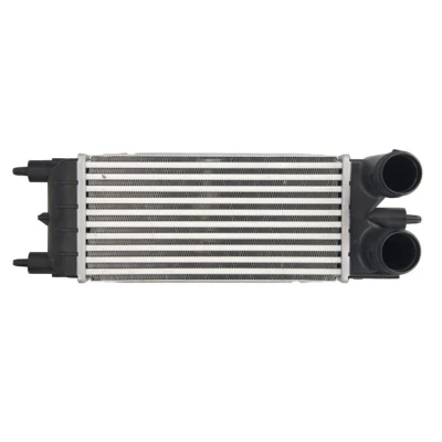 Abbildung von THERMOTEC DAC020TT Ladeluftkühler CITROËN: C5 III Kombi