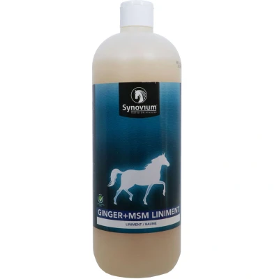 Abbildung von Synovium Ginger MSM Liniment