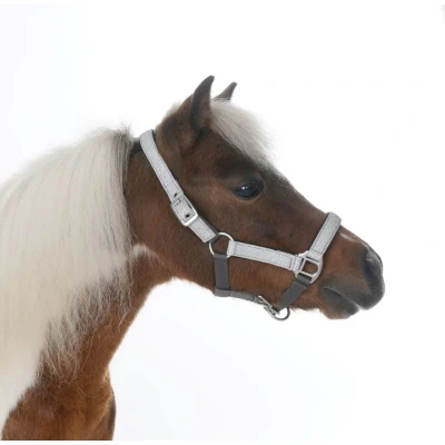 Abbildung von HB Halfter Glitter Shine Silber Mini Shetland