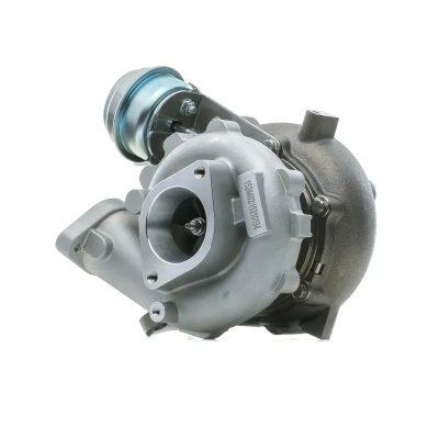 Abbildung von RIDEX 2234C0189 Turbolader Abgasturbolader unterdruckgesteuert mit Dichtungen NISSAN: NP300 Navara Pickup, Pathfinder 3