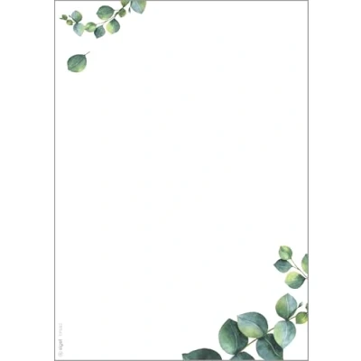 Abbildung von SIGEL DP682 Hochwertiges Motivpaper, Druckerpapier, Eukalyptus, grün, A5, 100 Blatt, Motiv beidseitig, 90 g/m², für Speisekarten, aus nachhaltigem Papier