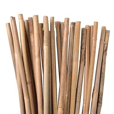 Abbildung von UNUS Bambusstäbe, 50 Pflanzstäbe aus Bambus, 120 cm lang, Rankhilfe für Zimmerpflanzen oder im Garten Gurken, Tomaten