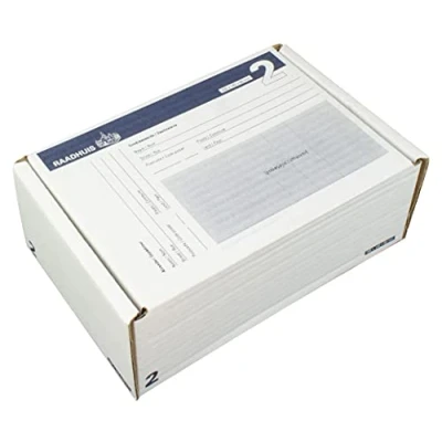 Abbildung von Raadhuis Mail Box Versandschachtel, Format 2: 200x140x80mm, 5 Stück Faltkarton für versand mit GLS, DPD, DHL