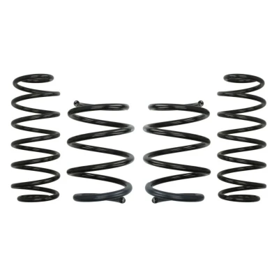 Abbildung von EIBACH Pro Kit E10 75 010 05 22 Fahrwerksatz, Federn RENAULT: Laguna III Coupe