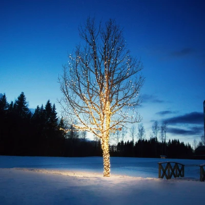 Abbildung von Lichterkette Chrissline Extra 50 LEDs 2.850K