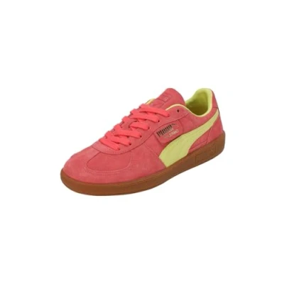 Abbildung von Puma Palermo Unisex Sneaker low, Größe: 41, Salmon/lime sheen/gum Veloursleder