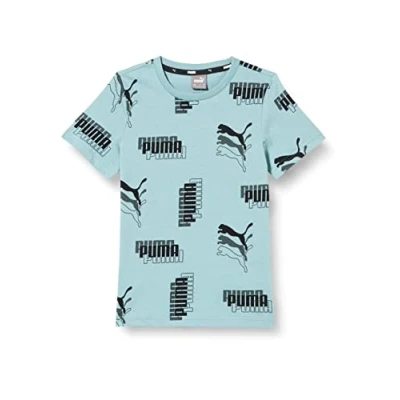 Abbildung von PUMA Power AOP Tee B Mineral Blue