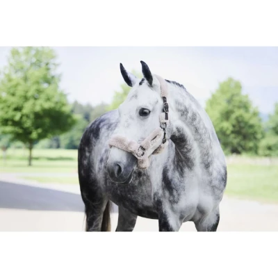 Abbildung von Eskadron FW&#039;24 Platinum Halfter Complete