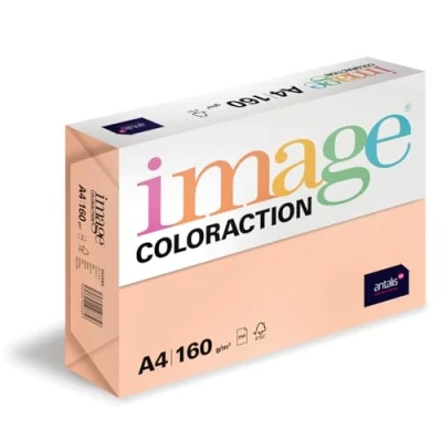 Abbildung von Image Coloraction Savana farbiges Kopierpapier DIN A4, 210 x 297 mm, 160 g/m² buntes, holzfreies Druckerpapier für Kopierer 250 Blatt Salm