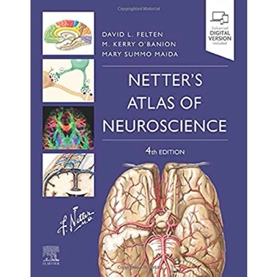 Abbildung von Netter&#039;s Atlas of Neuroscience (Netter Basic Science)