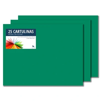 Abbildung von RAYLU PAPER Tonpapier 50 x 65 cm, 25 Stück Kartonpapier 180g/m², 210 297 mm, professionelle farbige Kartons für Büro, Kopierpapier, Buntes Papier zum Basteln (Kieferngrün)