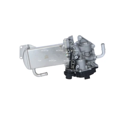 Abbildung von NRF 48209 AGR Modul mit Kühler VOLKSWAGEN: Transporter 5 Bus, Kastenwagen, Multivan (7HM