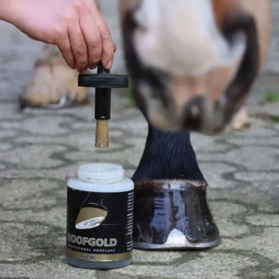 Abbildung von HOOFGOLD Huföl für Pferde mit Pinsel zur täglichen Hufpflege bei sprödem und brüchigem Horn 500 ml