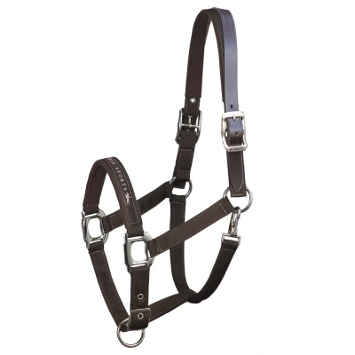 Abbildung von Schockemöhle Halfter Memphis Breakaway Nylon Chocolate XWB