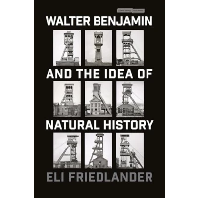 Abbildung von Walter Benjamin and the Idea of Natural History (Cultural Memory in Present)