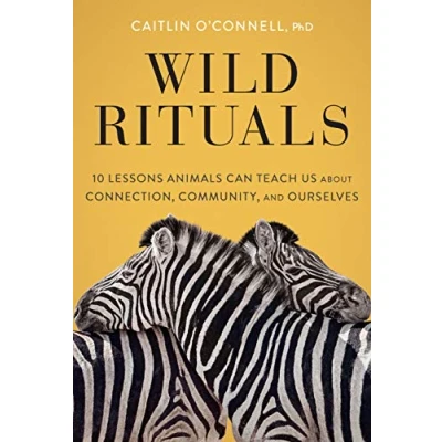 Abbildung von Wild Rituals: 10 Lessons Animals Can Teach Us About Connection, Community, and Ourselves