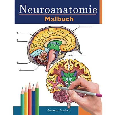 Abbildung von neuroanatomie malbuch: Unglaublich detailliertes Selbsttest Buch über die Färbung des menschlichen Gehirns für Neurowissenschaften Perfektes ... Pfleger, Ärzte und Erwachsene
