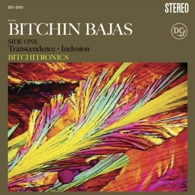 Abbildung von Bitchitronics [Vinyl LP]